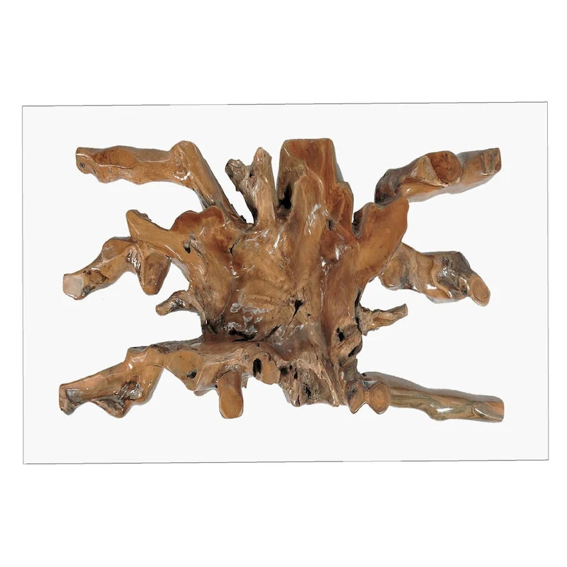 Teak Wood Root Dining Table with 55-Inch Square Glass Top